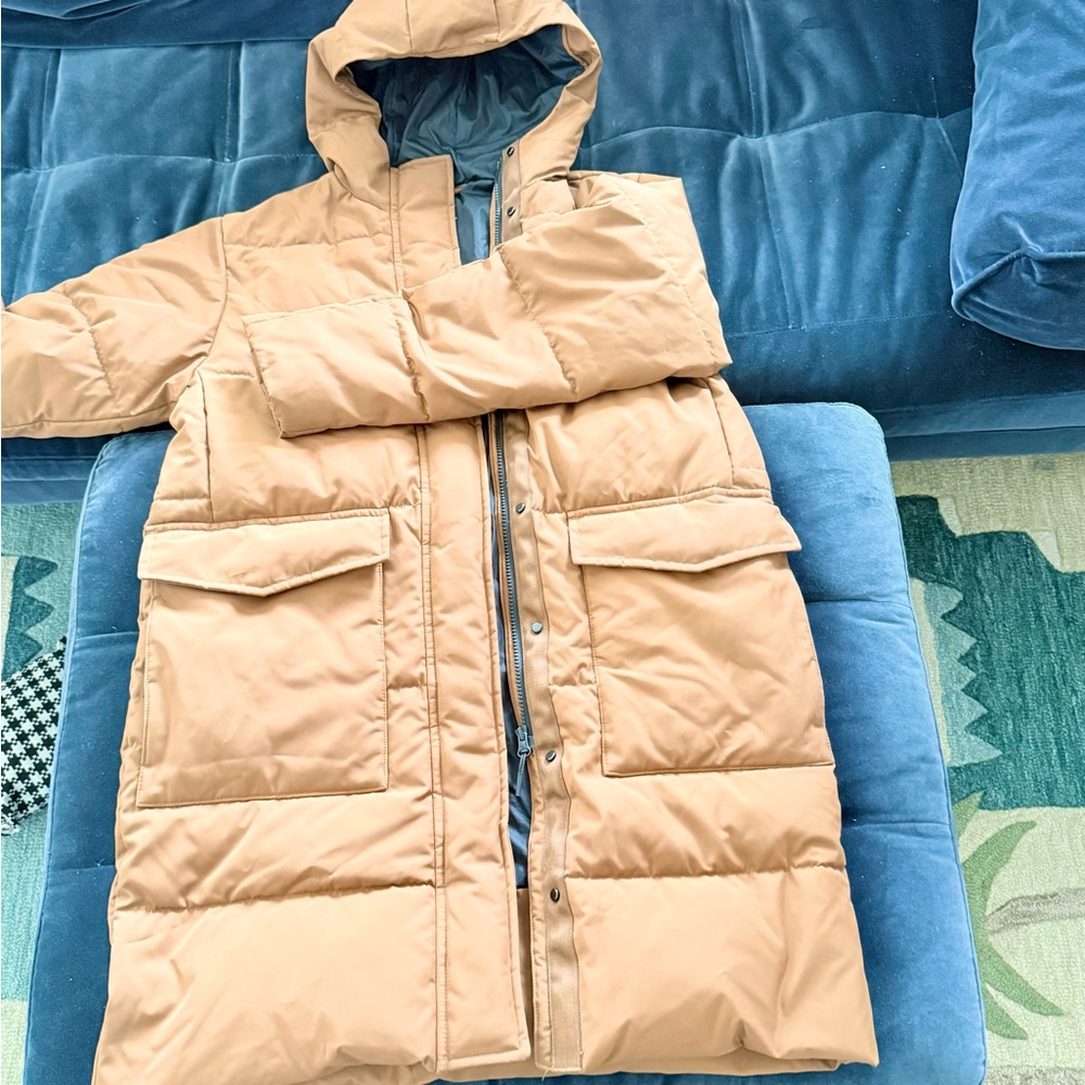 Everlane Puffer Coat with Hood